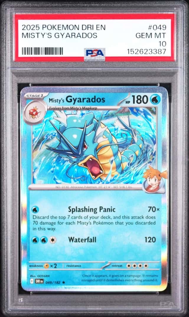 Misty's Gyarados