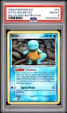 Ditto [squirtle]