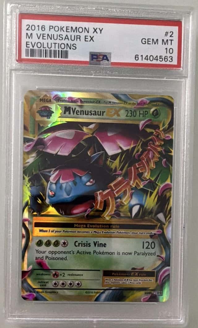 M Venusaur EX