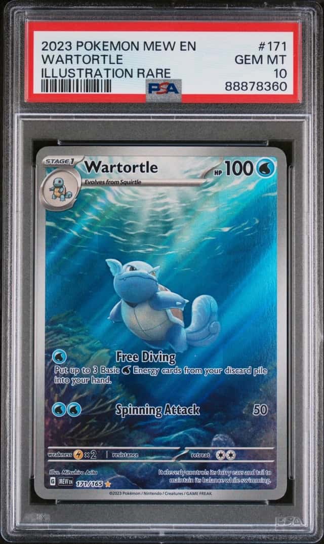 Wartortle