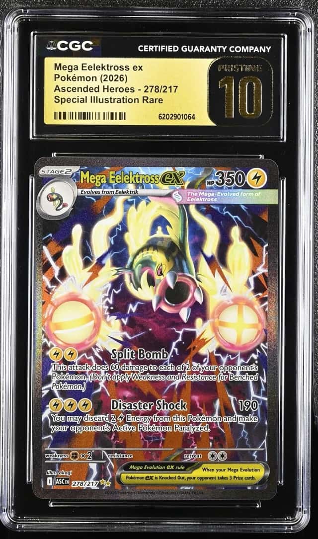 MEGA EELEKTROSS ex