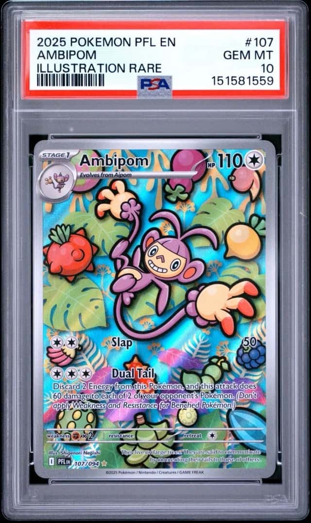 Ambipom