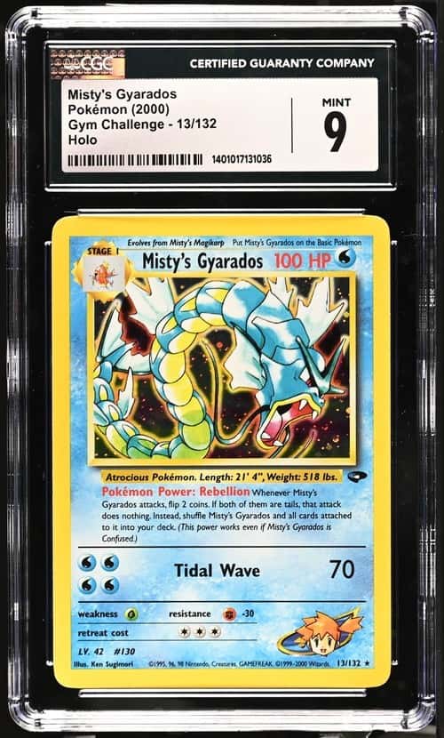 Misty's Gyarados