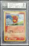 Torchic