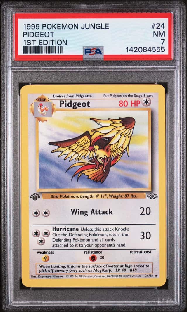 Pidgeot