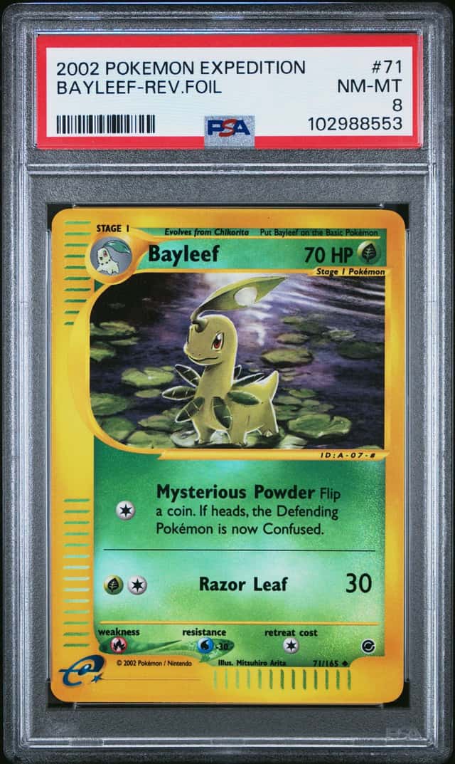 Bayleef