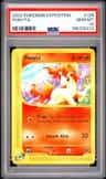 Ponyta