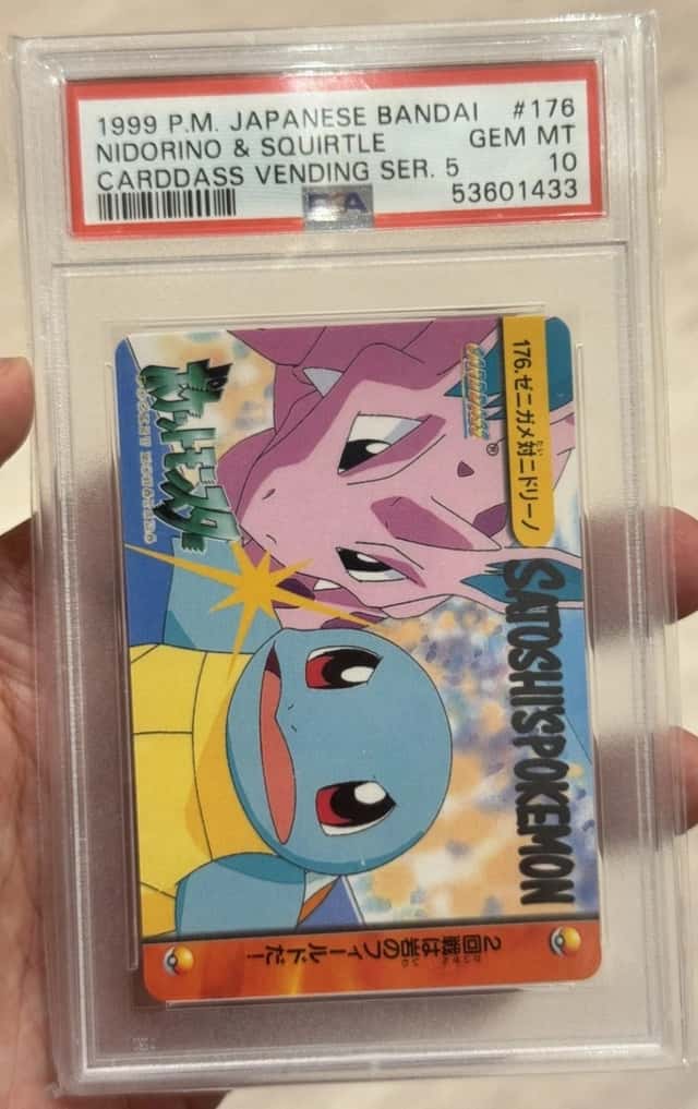 Squirtle Vs Nidorino