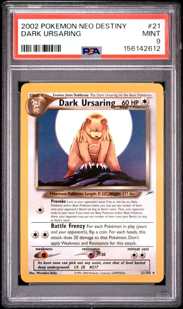 Dark Ursaring