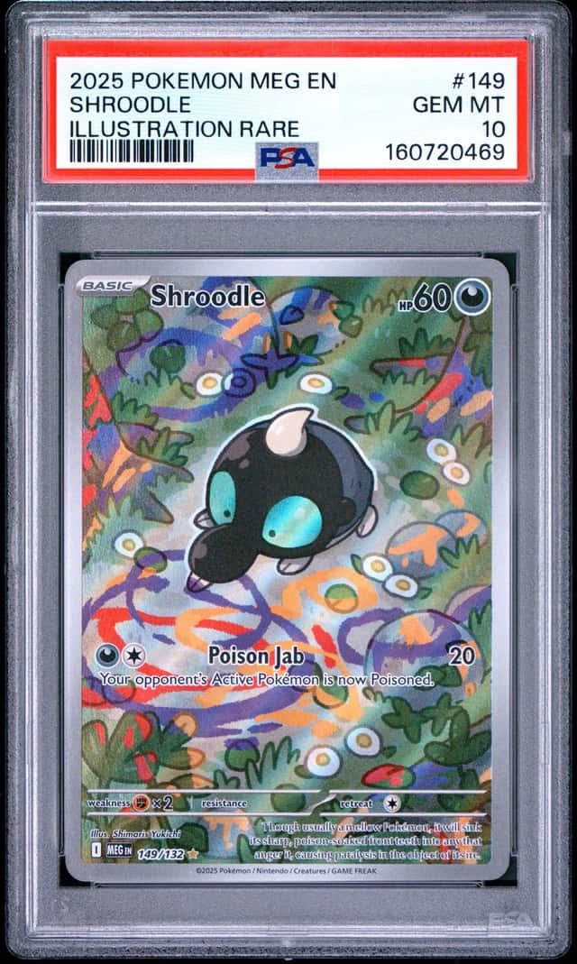 Shroodle