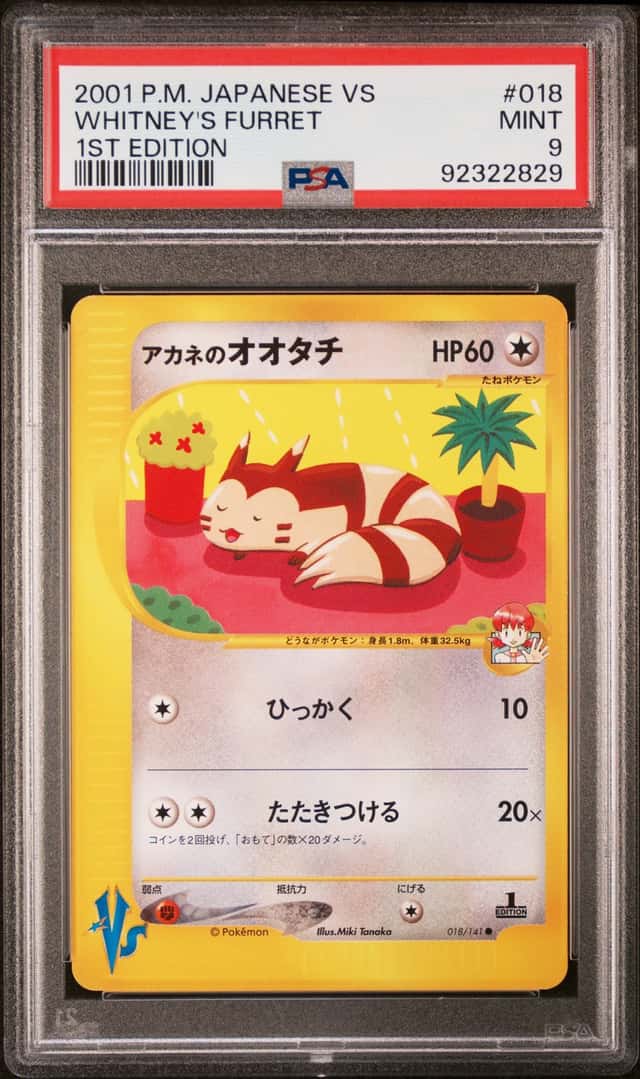 Whitney's Furret