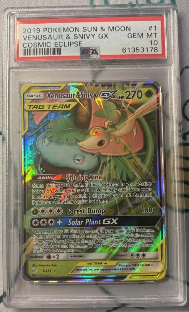 Venusaur & Snivy GX