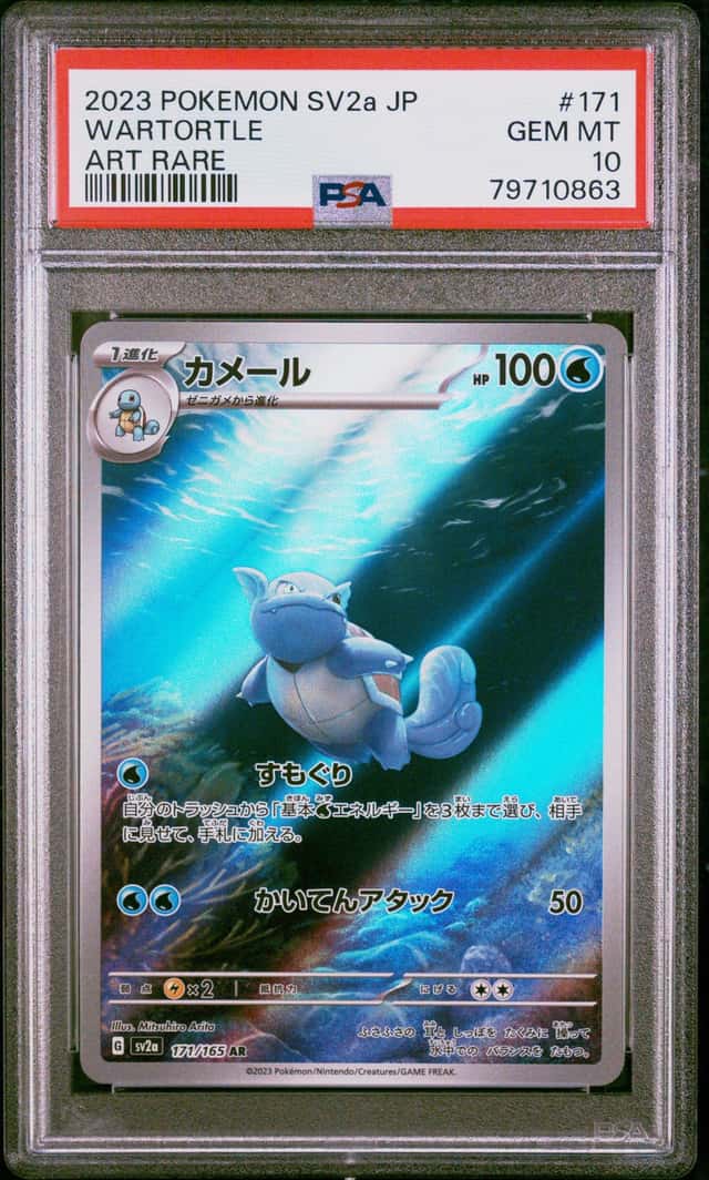 Wartortle