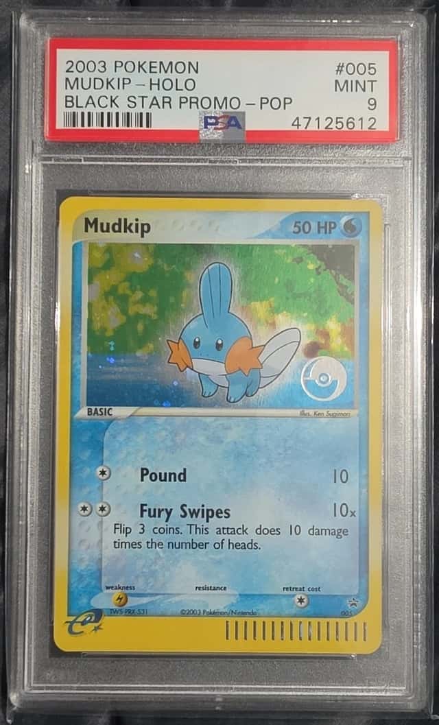 Mudkip