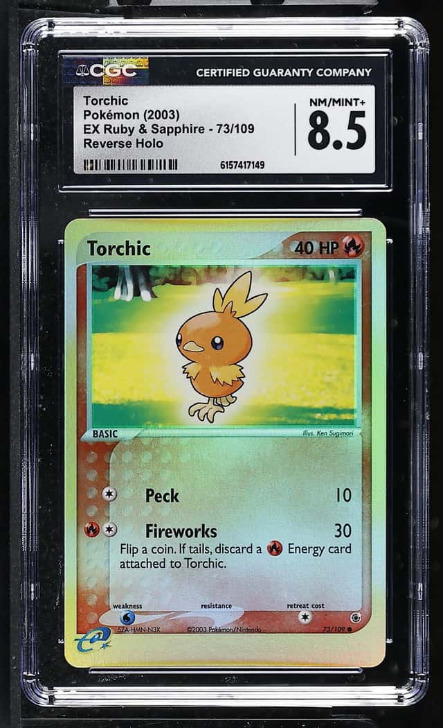 Torchic