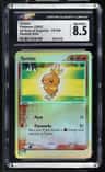 Torchic