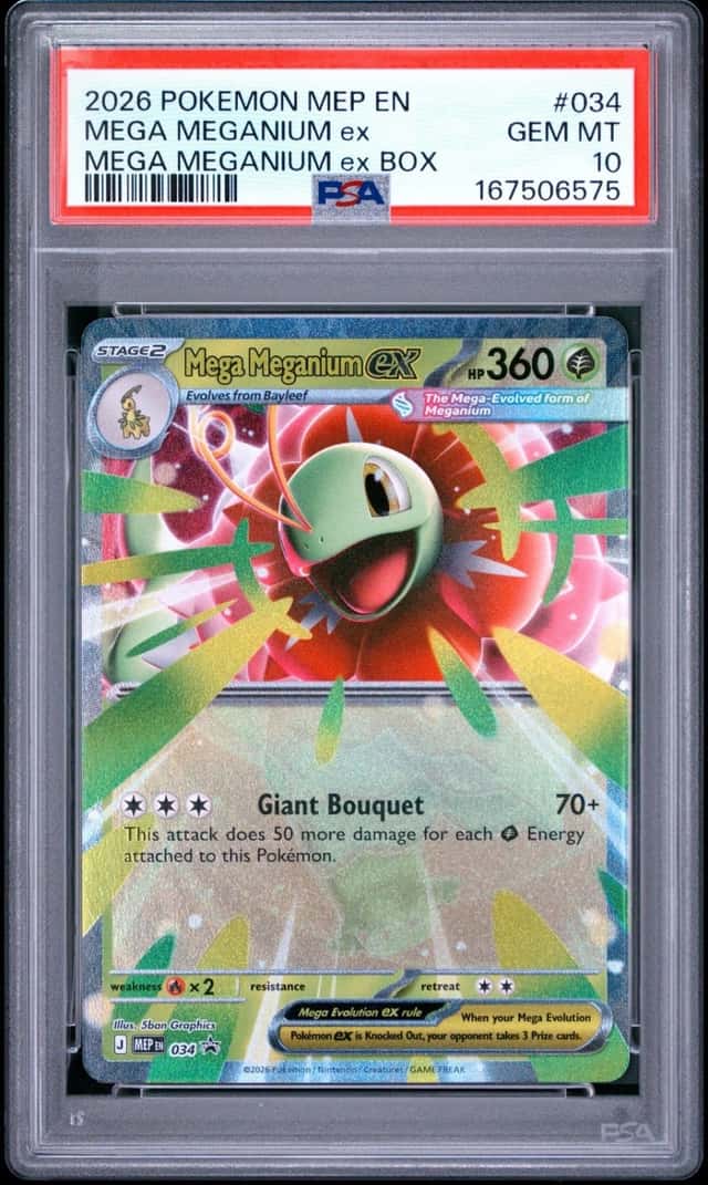 MEGA MEGANIUM ex