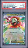 Mega Meganium Ex