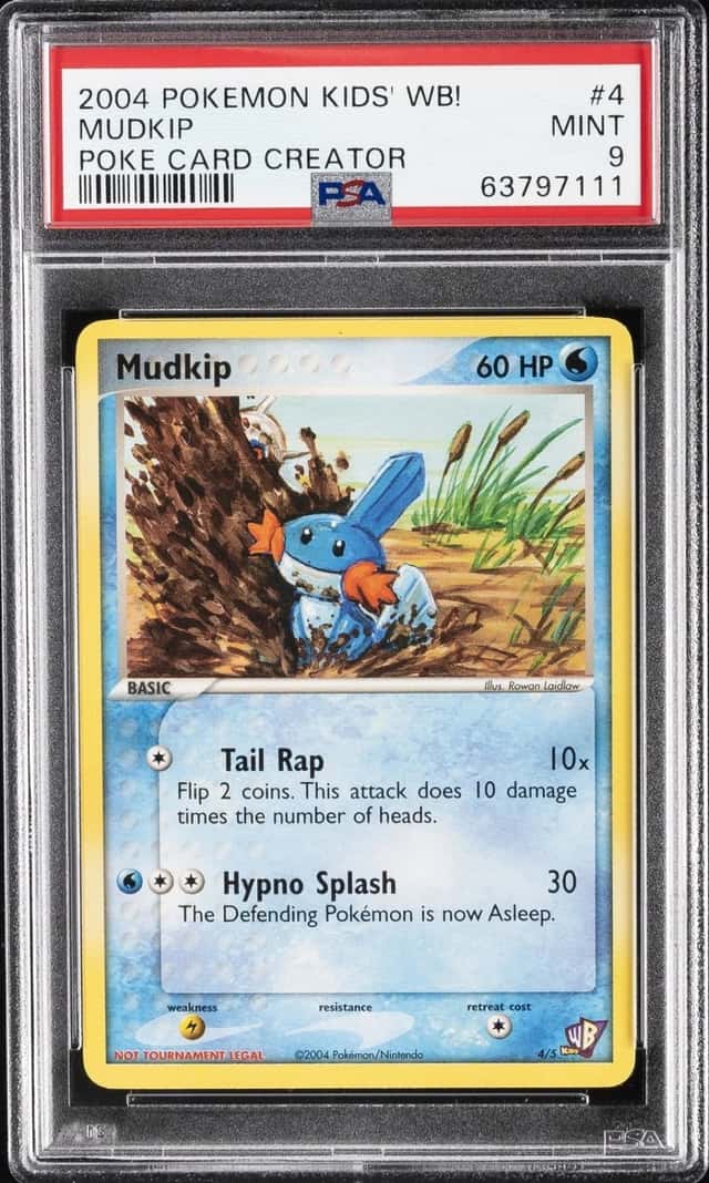 Mudkip