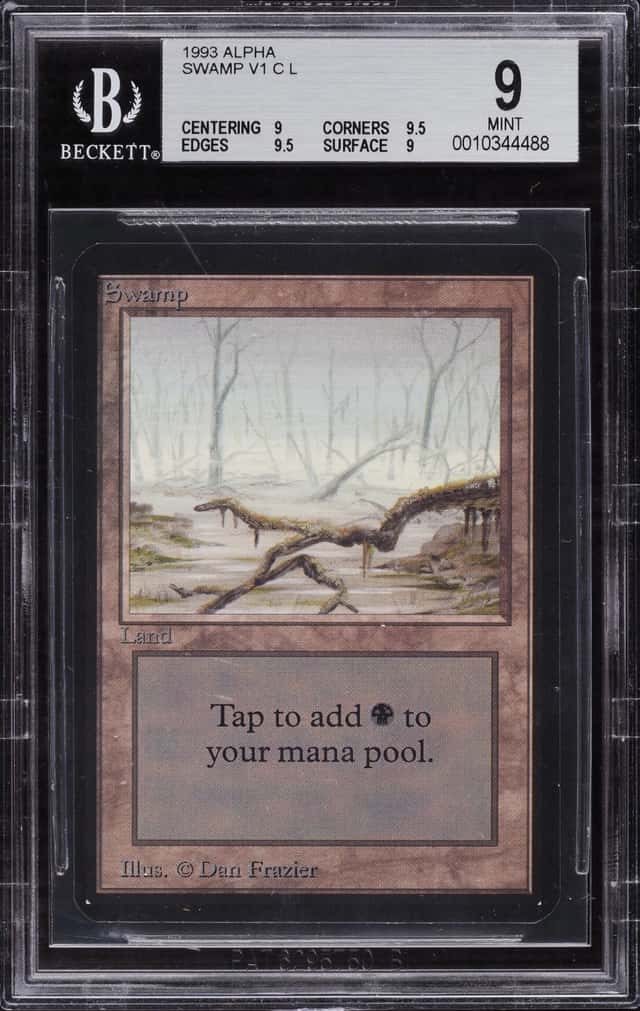 Swamp