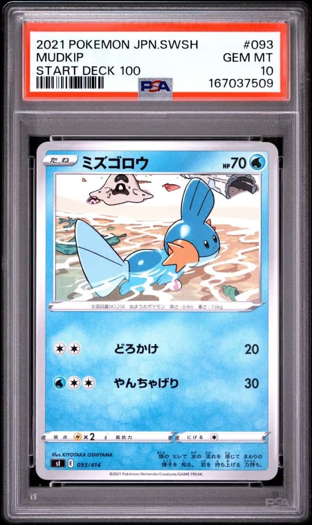 Mudkip