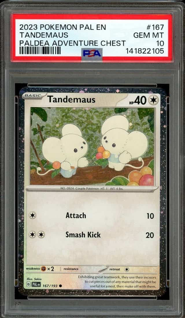 Tandemaus