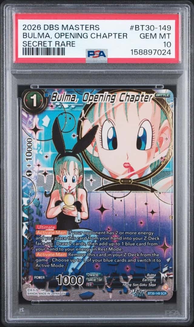 Bulma, Opening Chapter