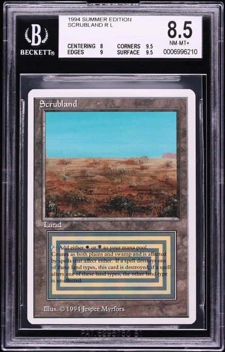 Scrubland