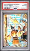 Raichu Break