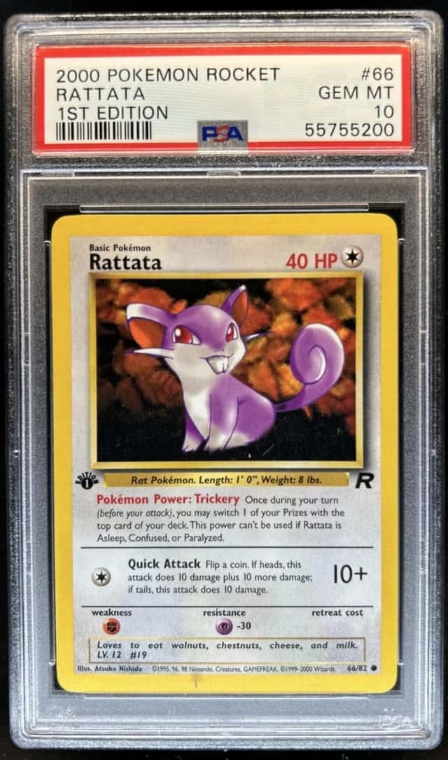Rattata