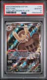 Noctowl
