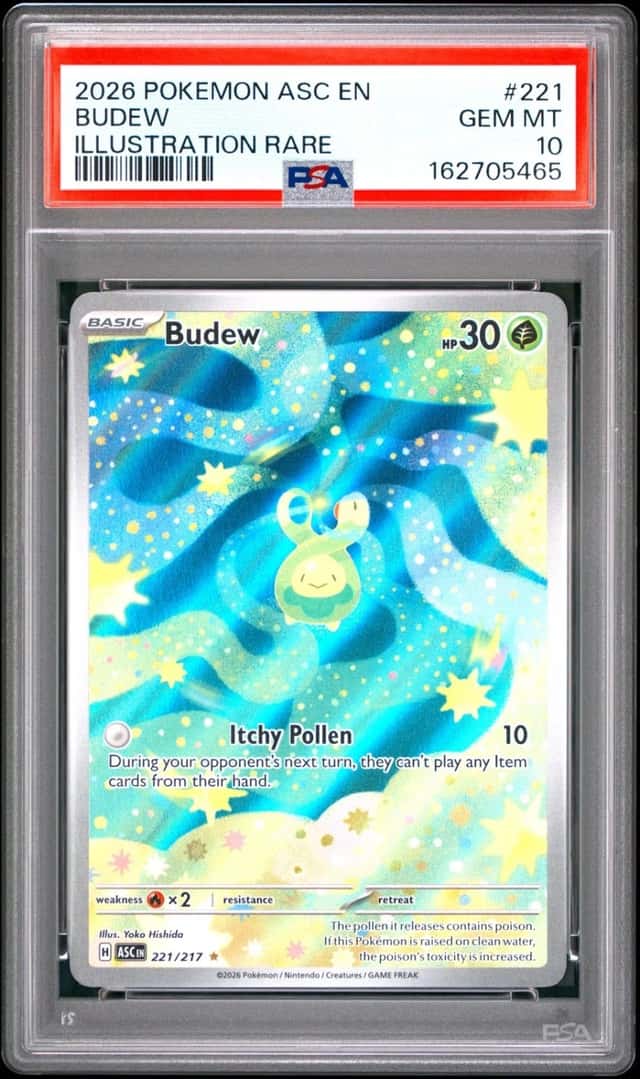 Budew