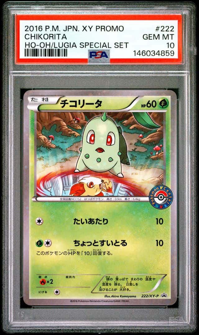 Chikorita