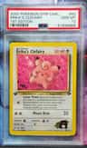 Erika'S Clefairy
