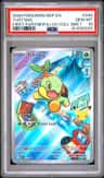 Turtwig