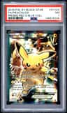 Pikachu Ex