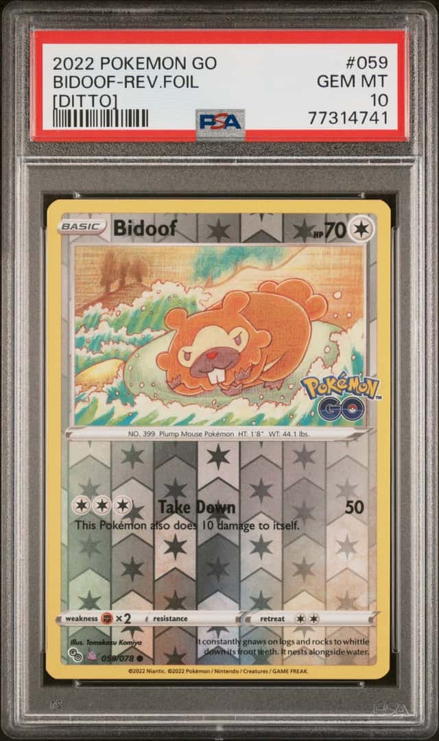 Bidoof