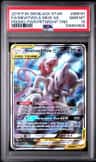 Mewtwo & Mew Gx