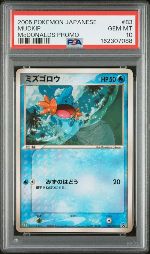 Mudkip