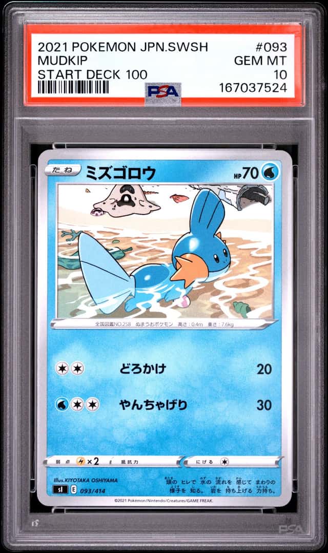 Mudkip