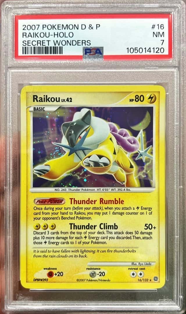 Raikou