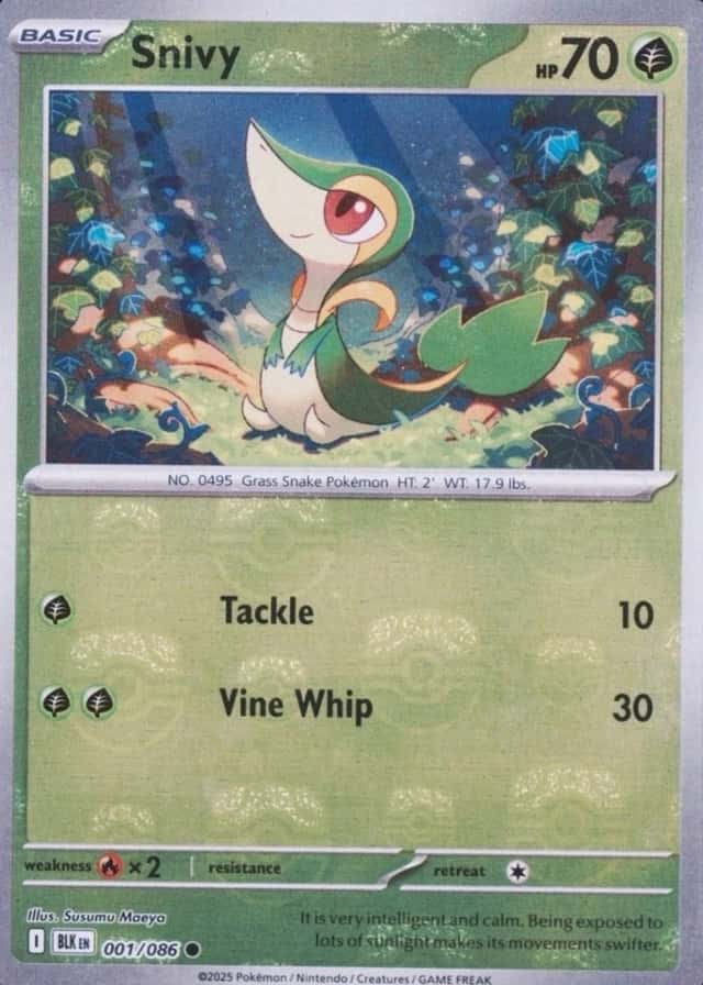 Master Ball · Reverse Holo