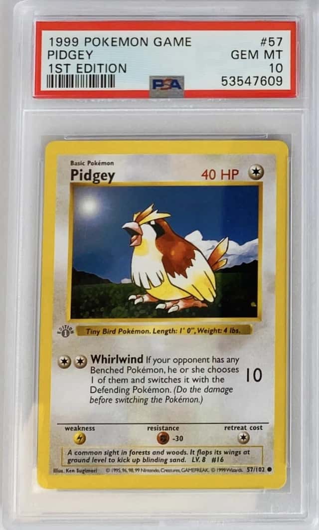 Pidgey