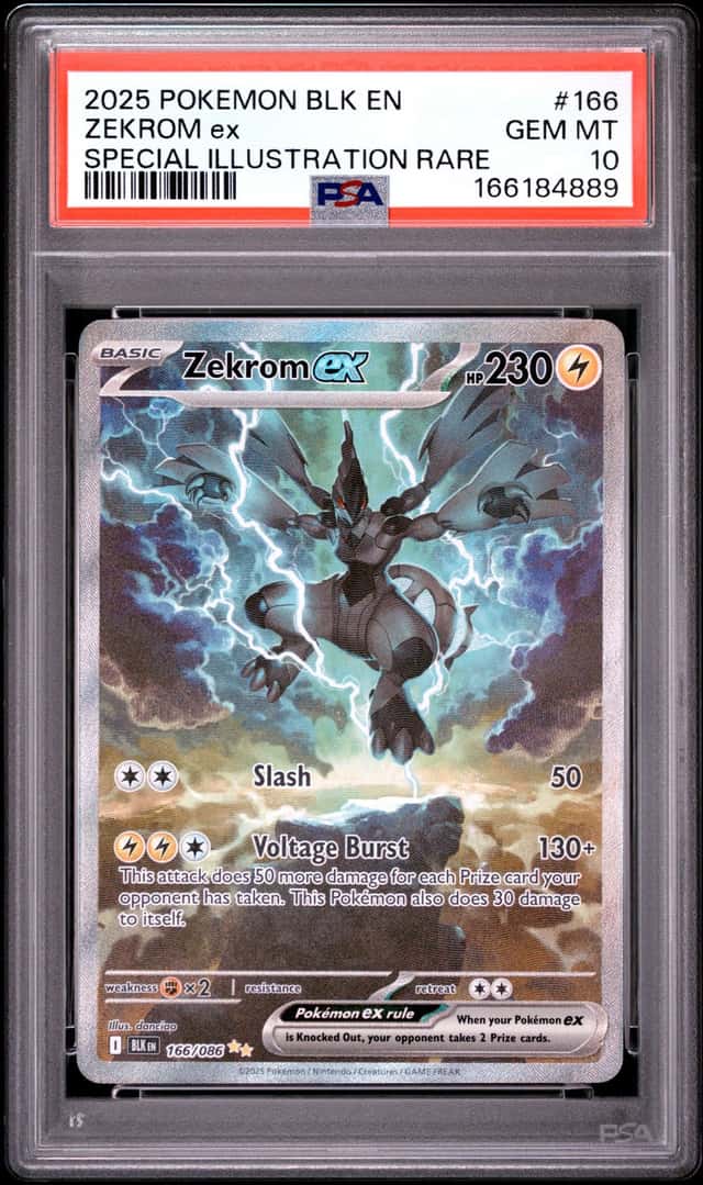 ZEKROM ex
