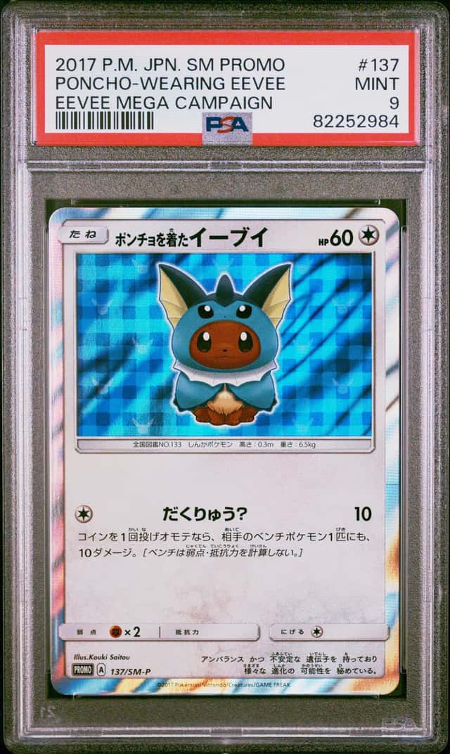 Poncho-wearing Eevee