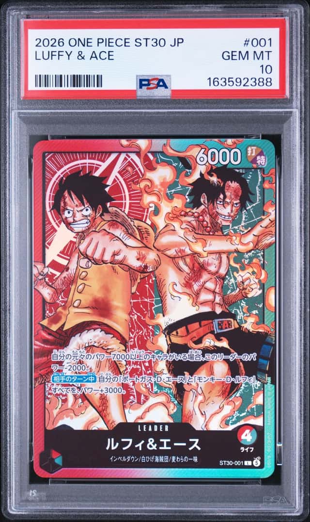 Luffy & Ace
