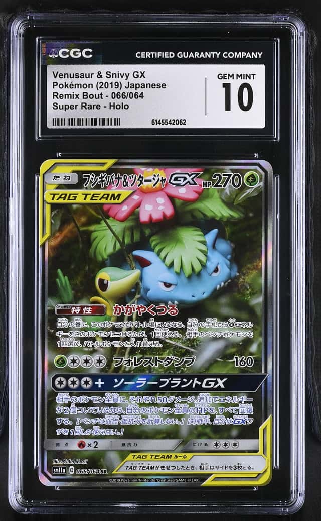 Venusaur & Snivy GX