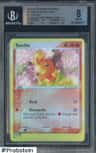 Torchic