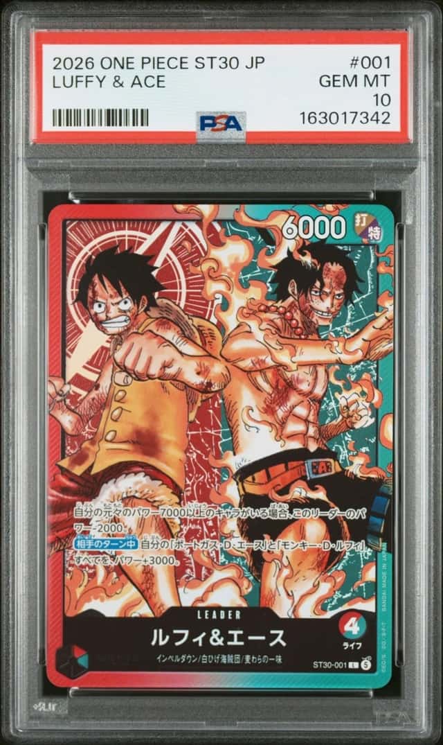 Luffy & Ace