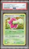 Meganium